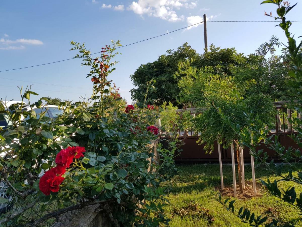 Kuca Za Odmor Luca Apartment Posedarje Luaran gambar