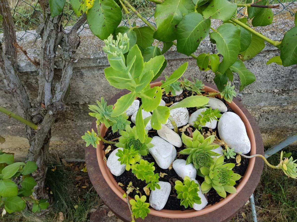 Kuca Za Odmor Luca Apartment Posedarje Luaran gambar